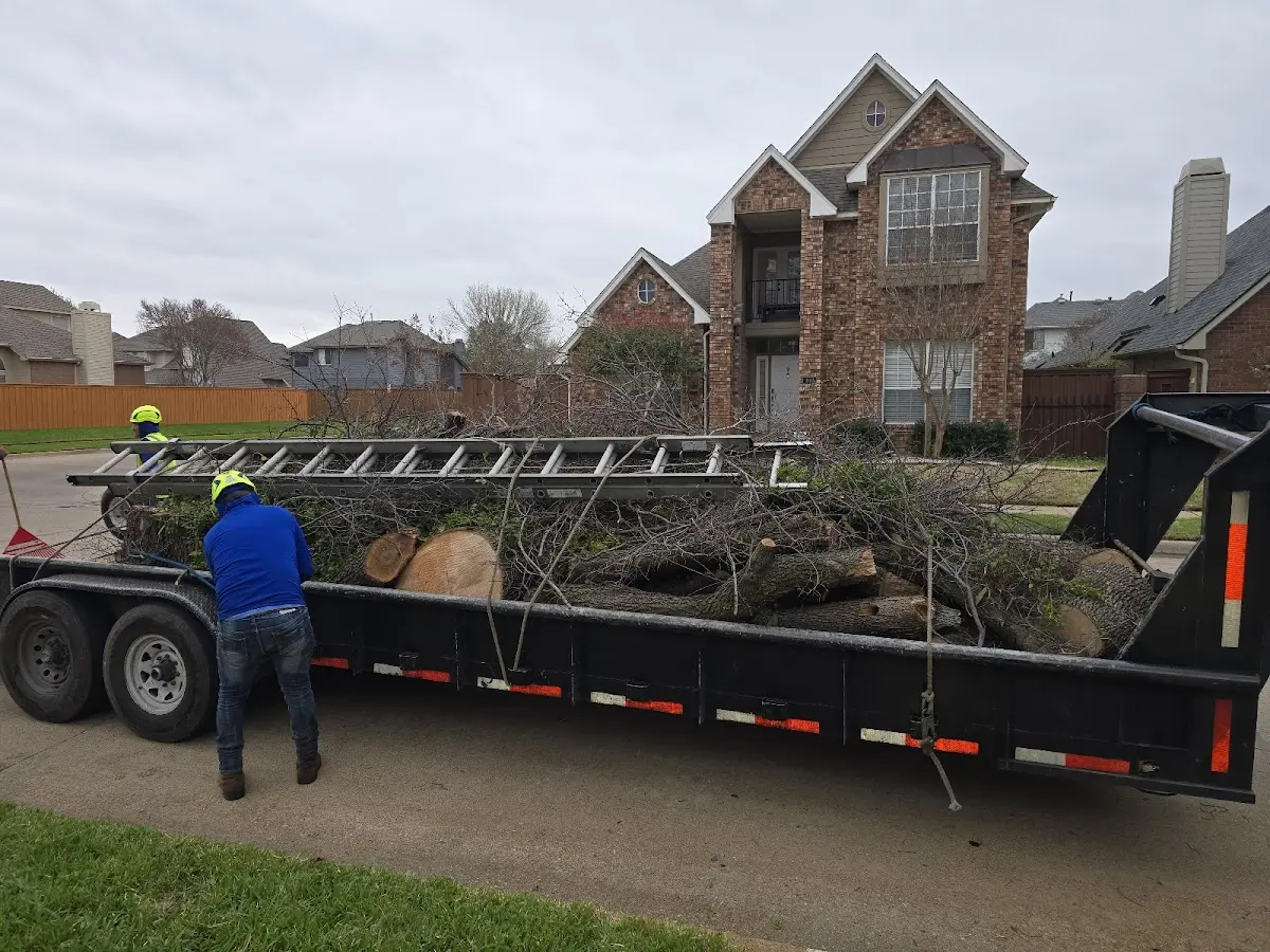 Expert Tree Removal with proper safety equipment in Dracut